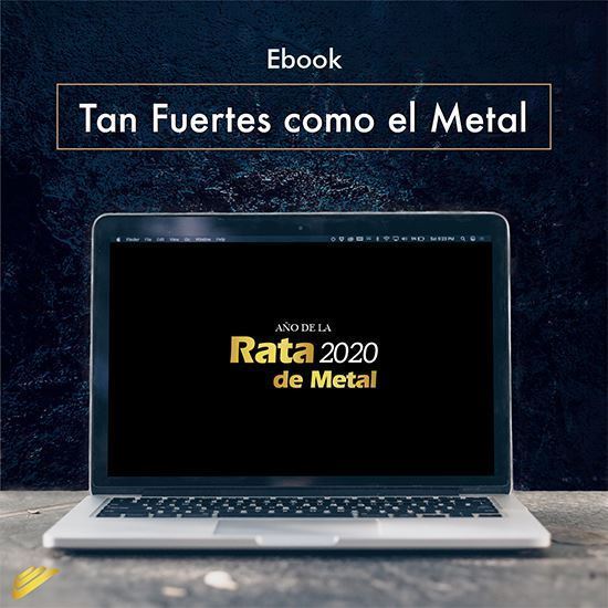 Ebook Rata de Metal